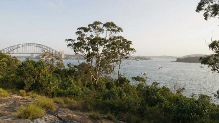 Balls Head Reserve – Natural Harbour Views in Waverton