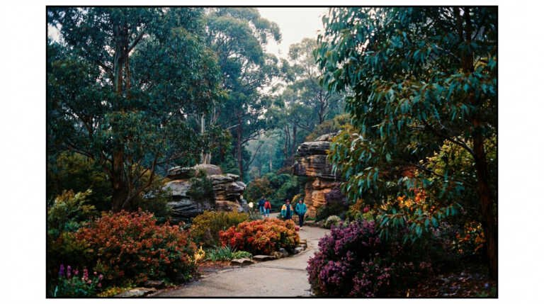 Blue Mountains Botanic Garden Mount Tomah