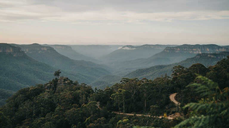 Blue Mountains National Park