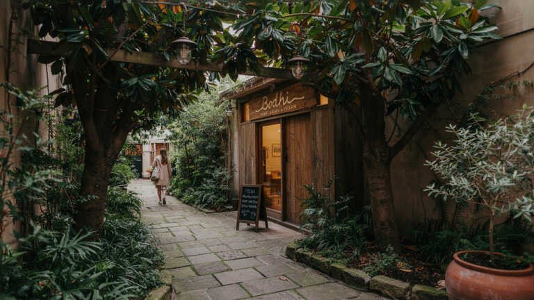 Bodhi – Sydney CBD