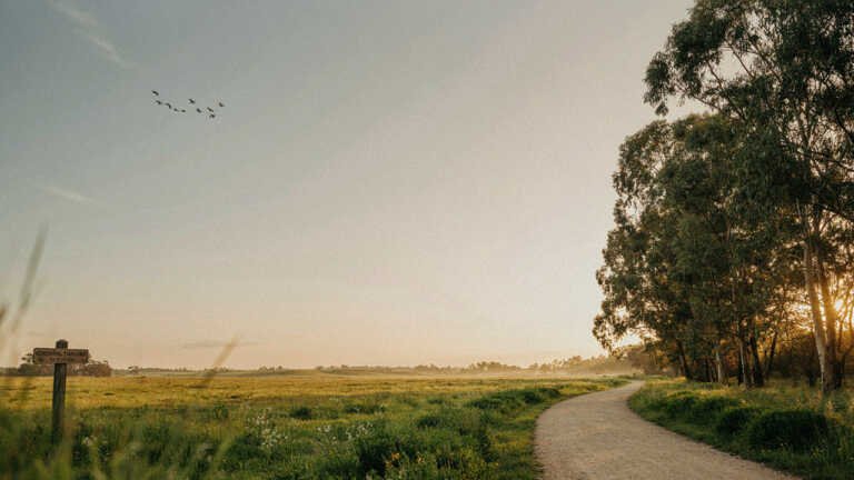 Centennial Parklands – 369 Hectares