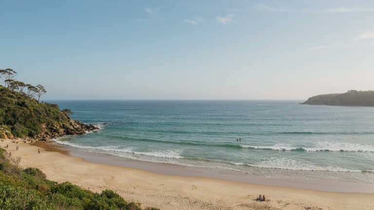 Clovelly Beach – Sheltered Coastal Swimming