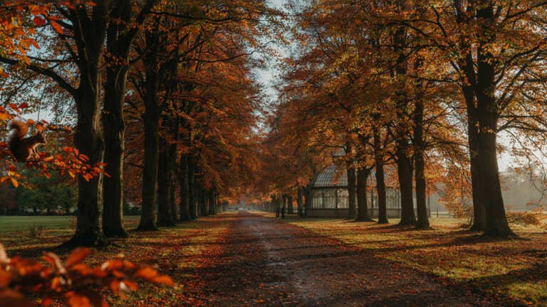 Clumber Park – Nottinghamshire