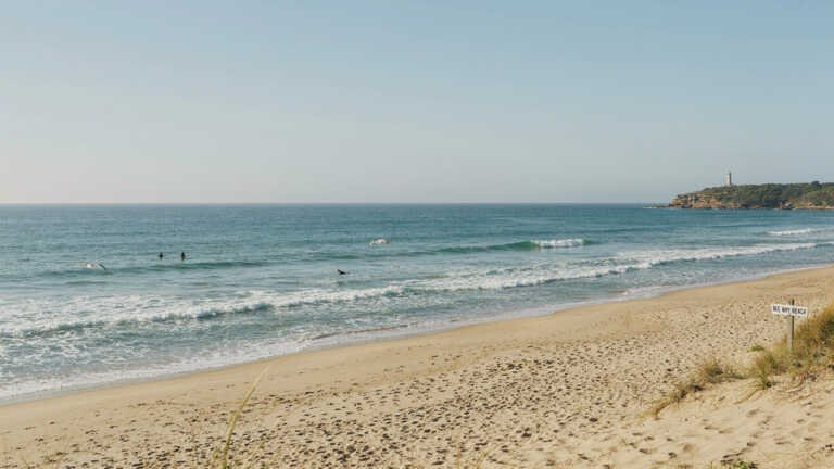 Dee Why Beach – A Spacious Northern Beaches Favourite