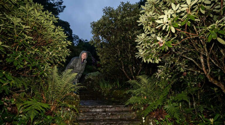 Everglades Gardens, Leura