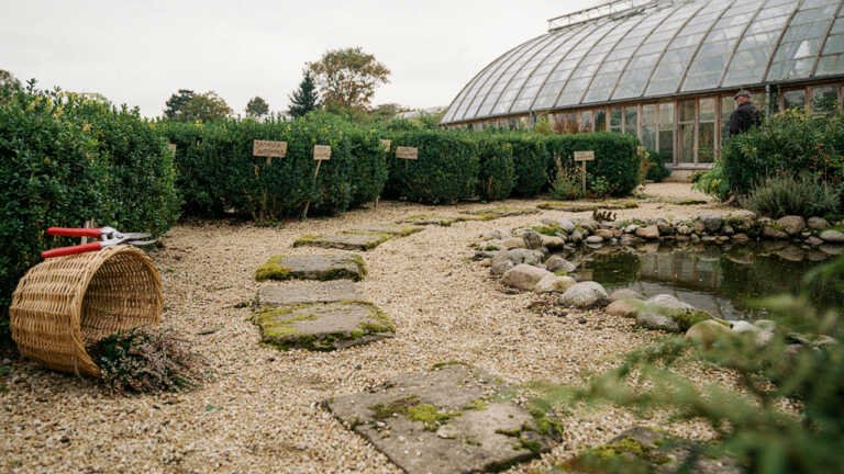 Exbury Gardens, Hampshire
