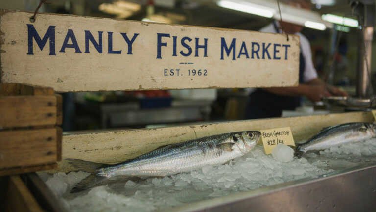 Garfish – Fresh Seafood in Manly
