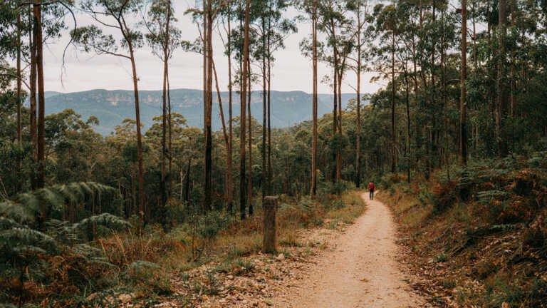 Garigal National Park