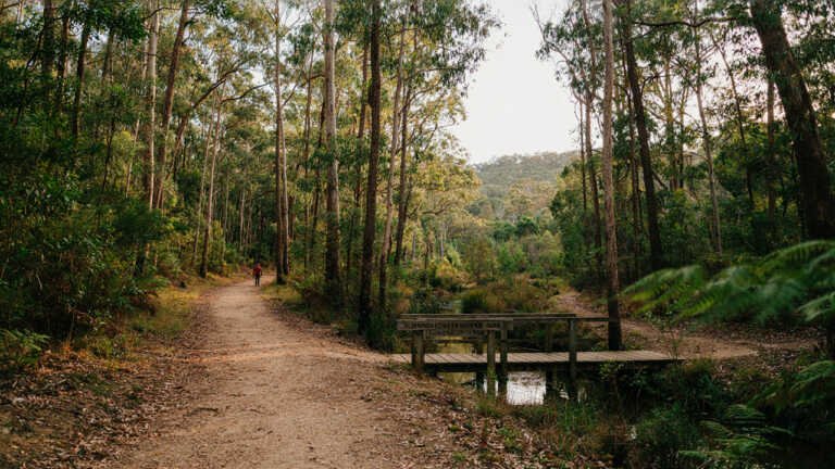 Ku ring gai Chase National Park