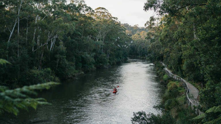 Lane Cove National Park