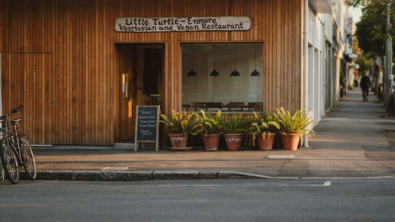 Little Turtle – Enmore