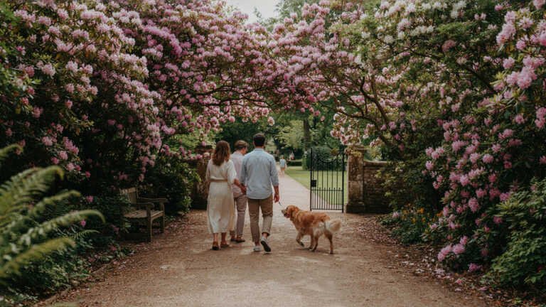Nymans, West Sussex