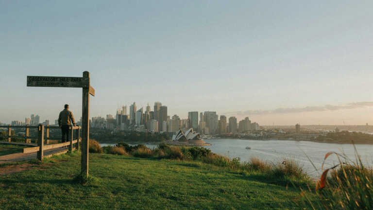 Observatory Hill Park – Elevated City and Harbour Views