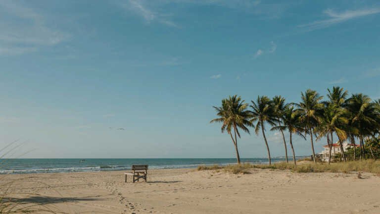 Palm Beach – A Scenic Northern Beach Escape
