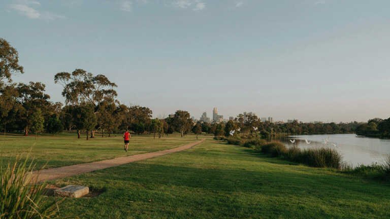 Parramatta Park – 85 Hectares