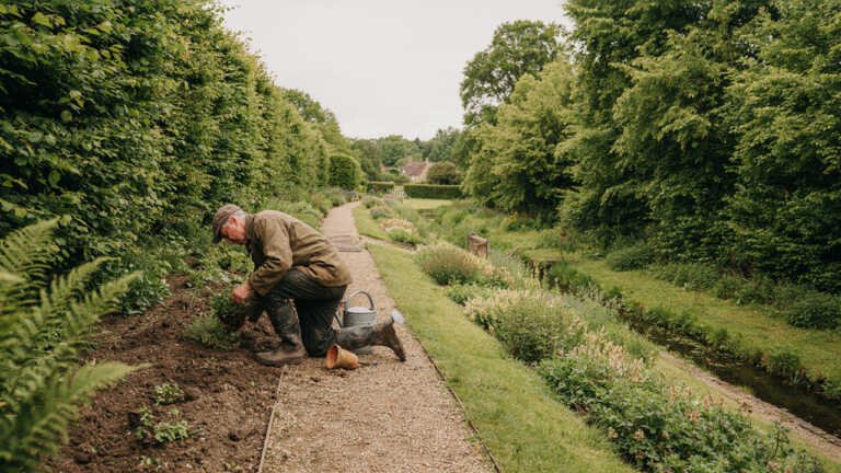 RHS Garden Harlow Carr, North Yorkshire