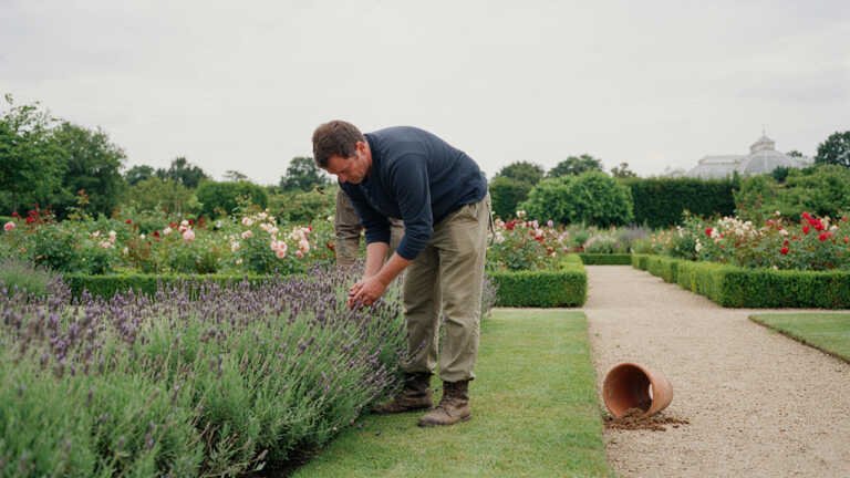 RHS Garden Wisley, Surrey