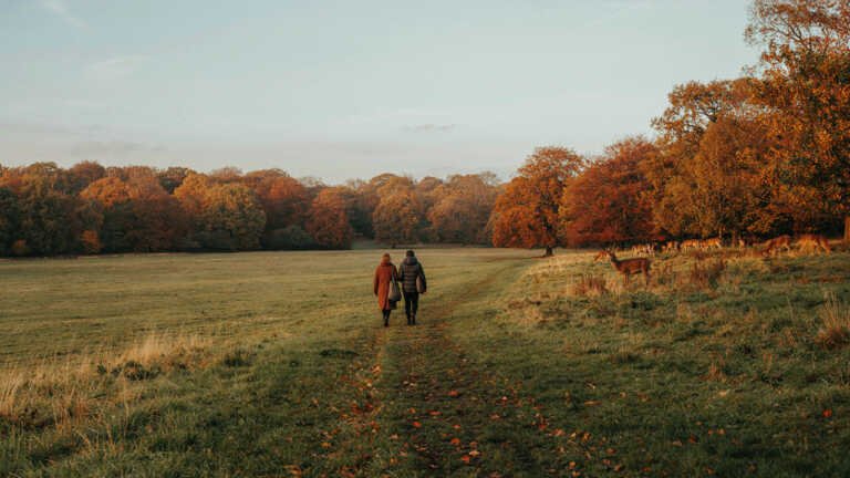 Richmond Park – London