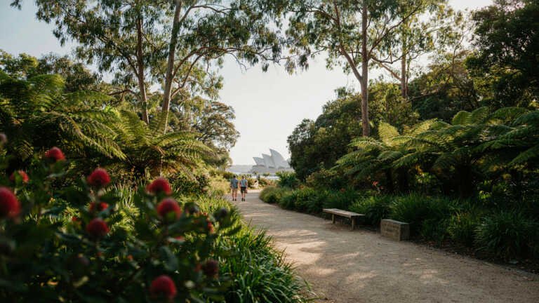 Royal Botanic Garden Sydney