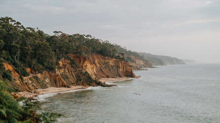 Royal National Park