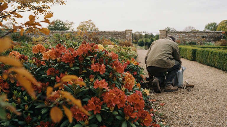 Sheffield Park and Garden, East Sussex