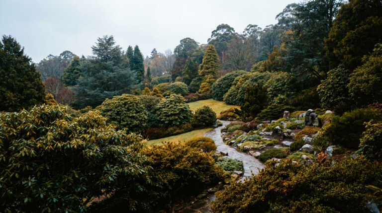 The Royal Botanic Garden Mount Tomah