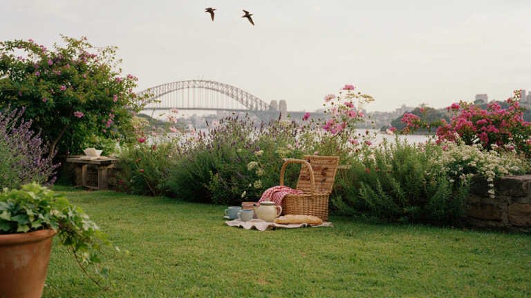 Wendy Whiteley’s Secret Garden – Lavender Bay