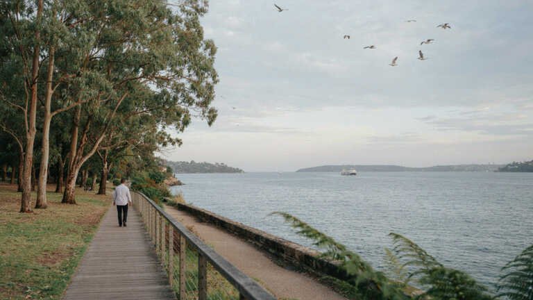 Yurulbin Park – Peaceful Harbour Views in Birchgrove