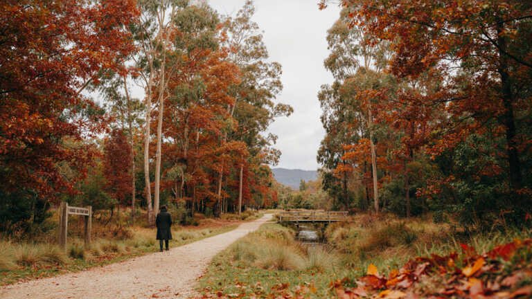 Australian Botanic Garden Mount Annan