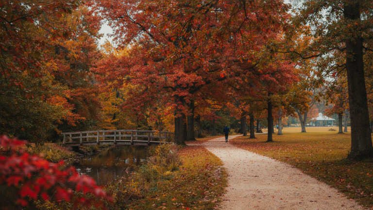 Centennial Parklands