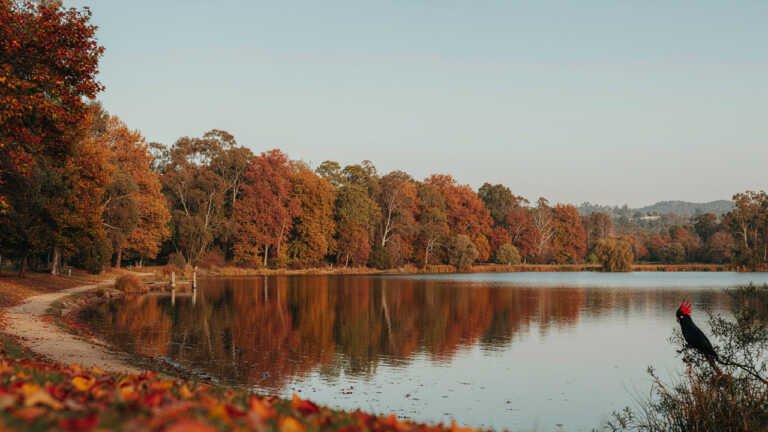 Lake Alexandra Reserve, Mittagong