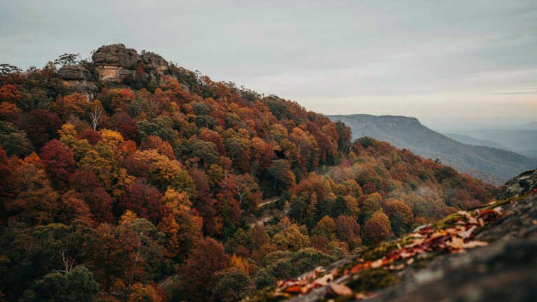 Mount Wilson, Blue Mountains