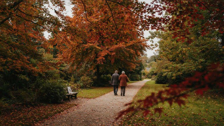 Southern Highlands Botanic Gardens, Bowral