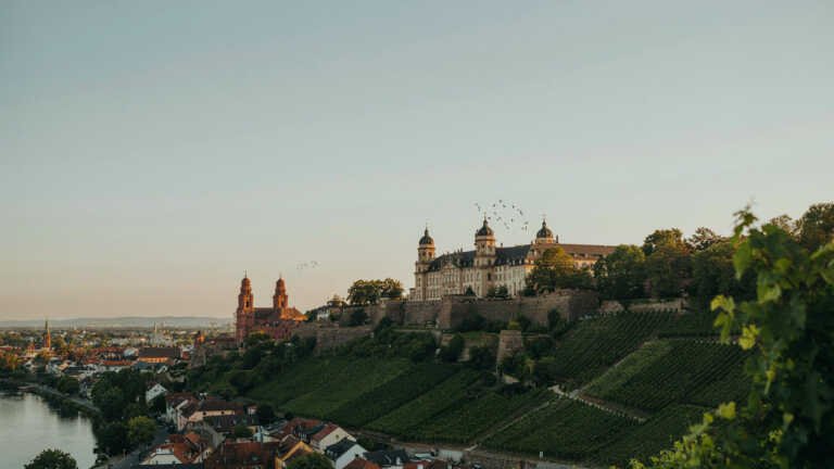Würzburg – Best for Palace Architecture and Franconian Wine Country